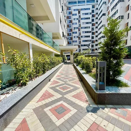 Adress Cd23 * Bukarest